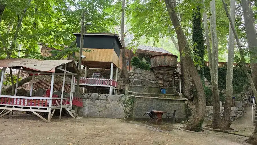 Tarzan Alabalık Çiftliği fotoğraf 3