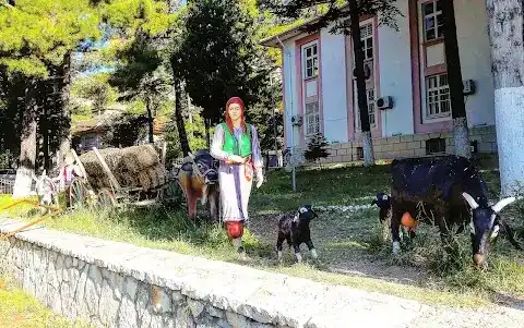 Toros Tesisleri fotoğraf 3