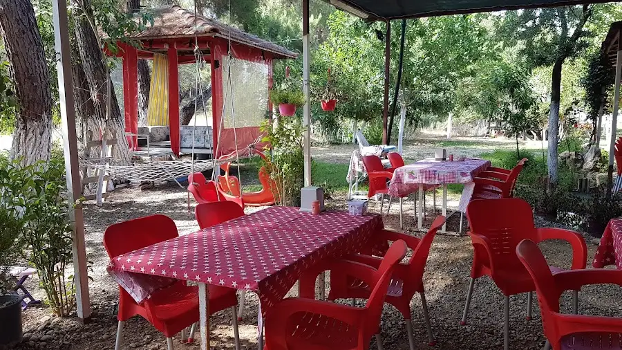 Avcı'nın Yeri fotoğraf 3