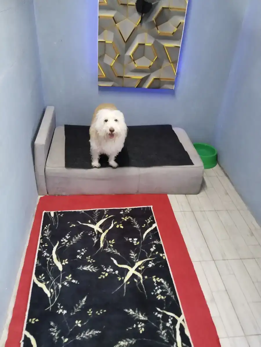 EXPO PET OTEL ANTALYA fotoğraf 2