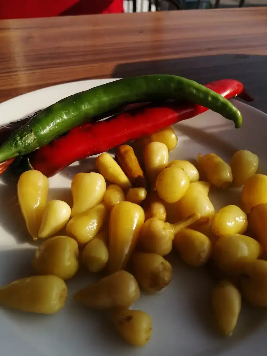 Mahir Usta fotoğraf 2