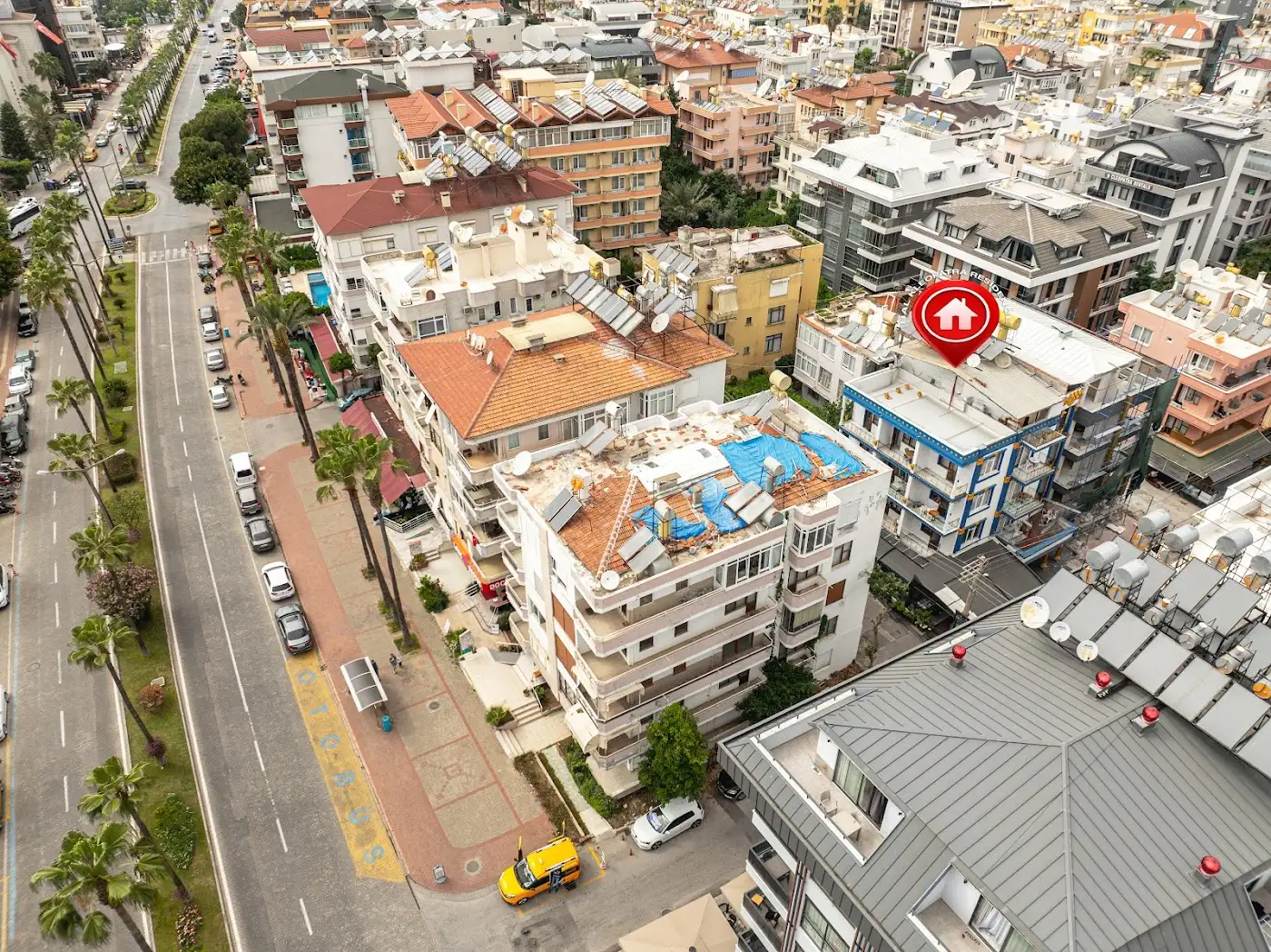 Bal Kleopatra Residence & Apart Otel fotoğraf 3