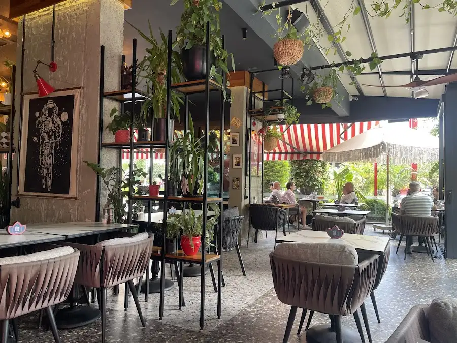Cafe Local fotoğraf 2