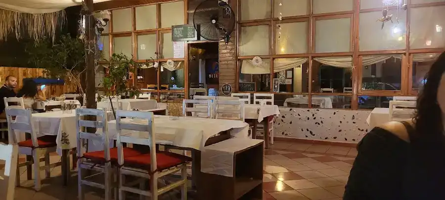 Saki Meze & Balık