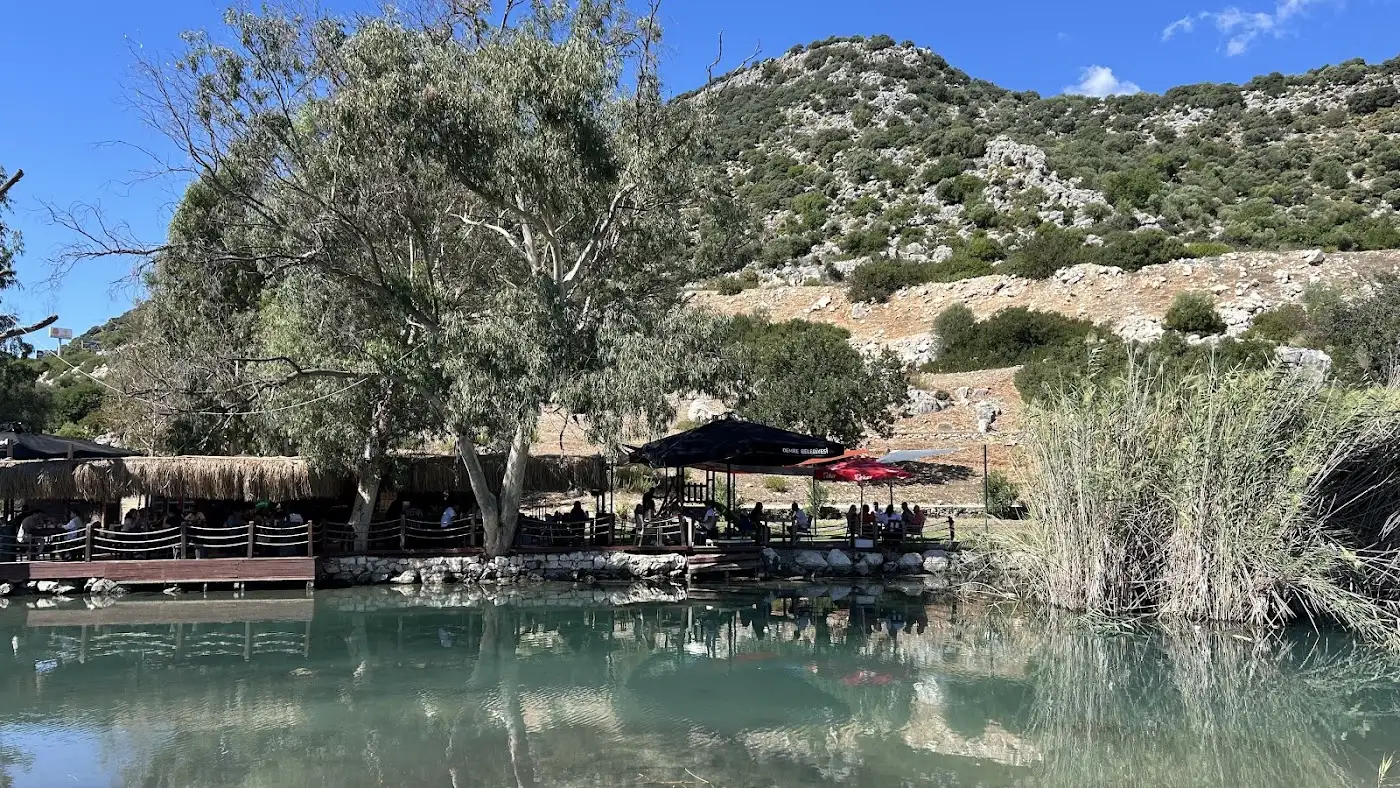 Değirmen Cafe fotoğraf 3