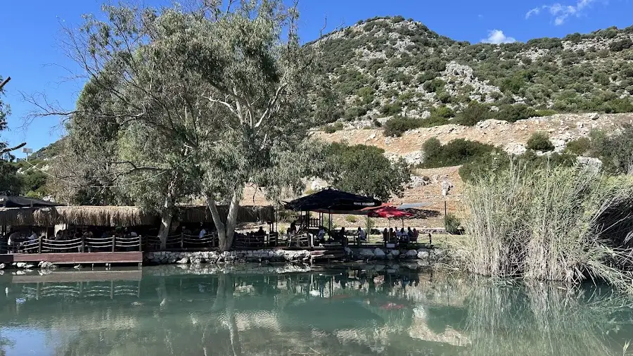 Değirmen Cafe fotoğraf 3