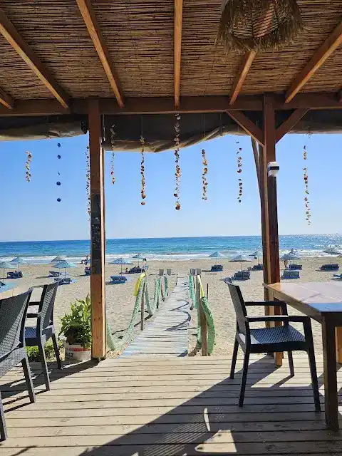 Deniz Restaurant Cafe fotoğraf 3