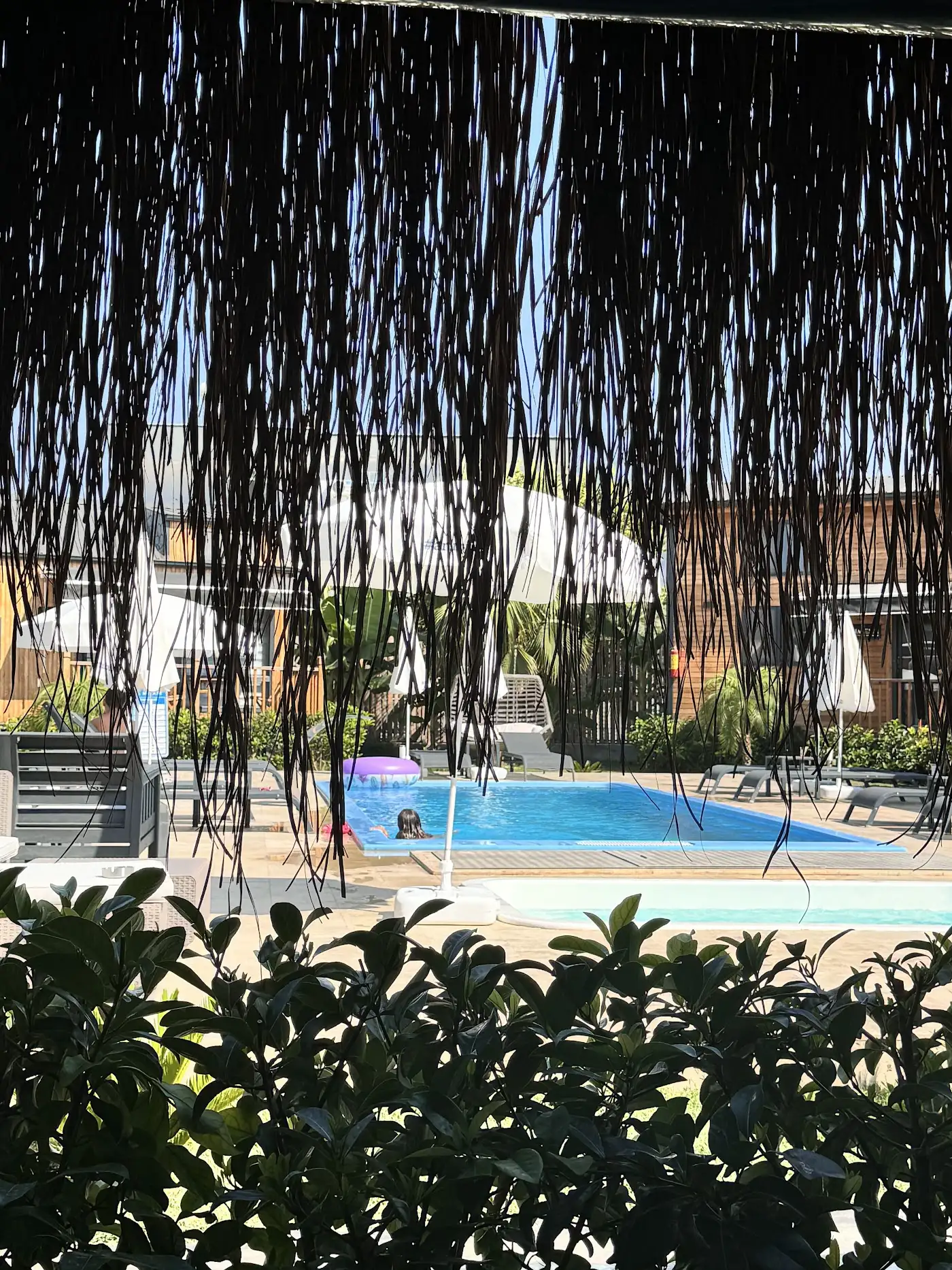 Hotel Palm House fotoğraf 3