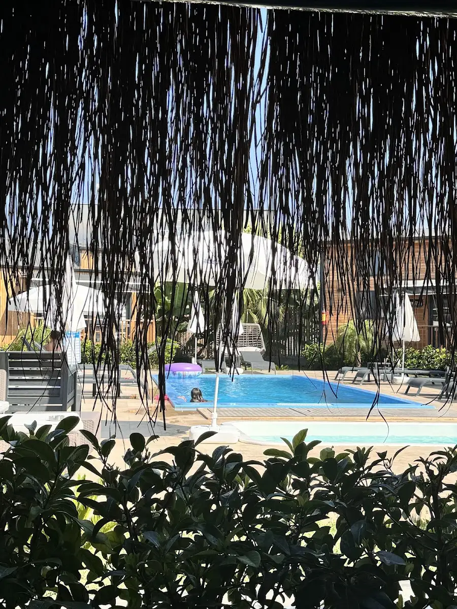 Hotel Palm House fotoğraf 3