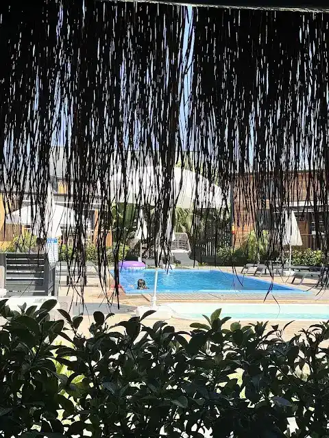 Hotel Palm House fotoğraf 3