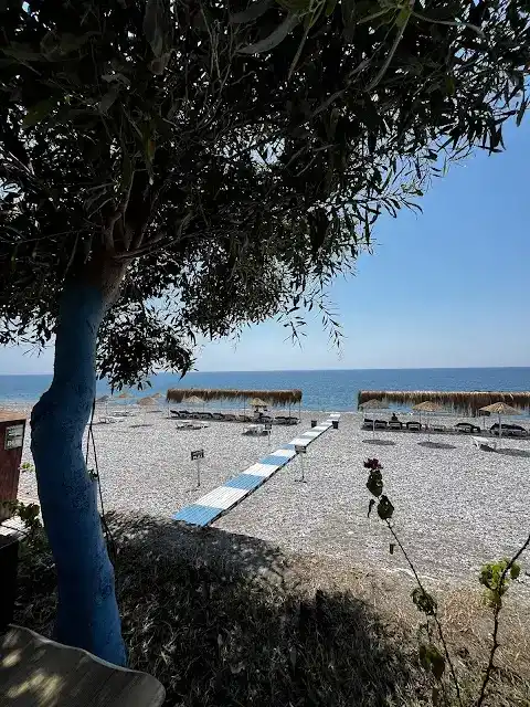 Marti Cafe Bistro fotoğraf 3