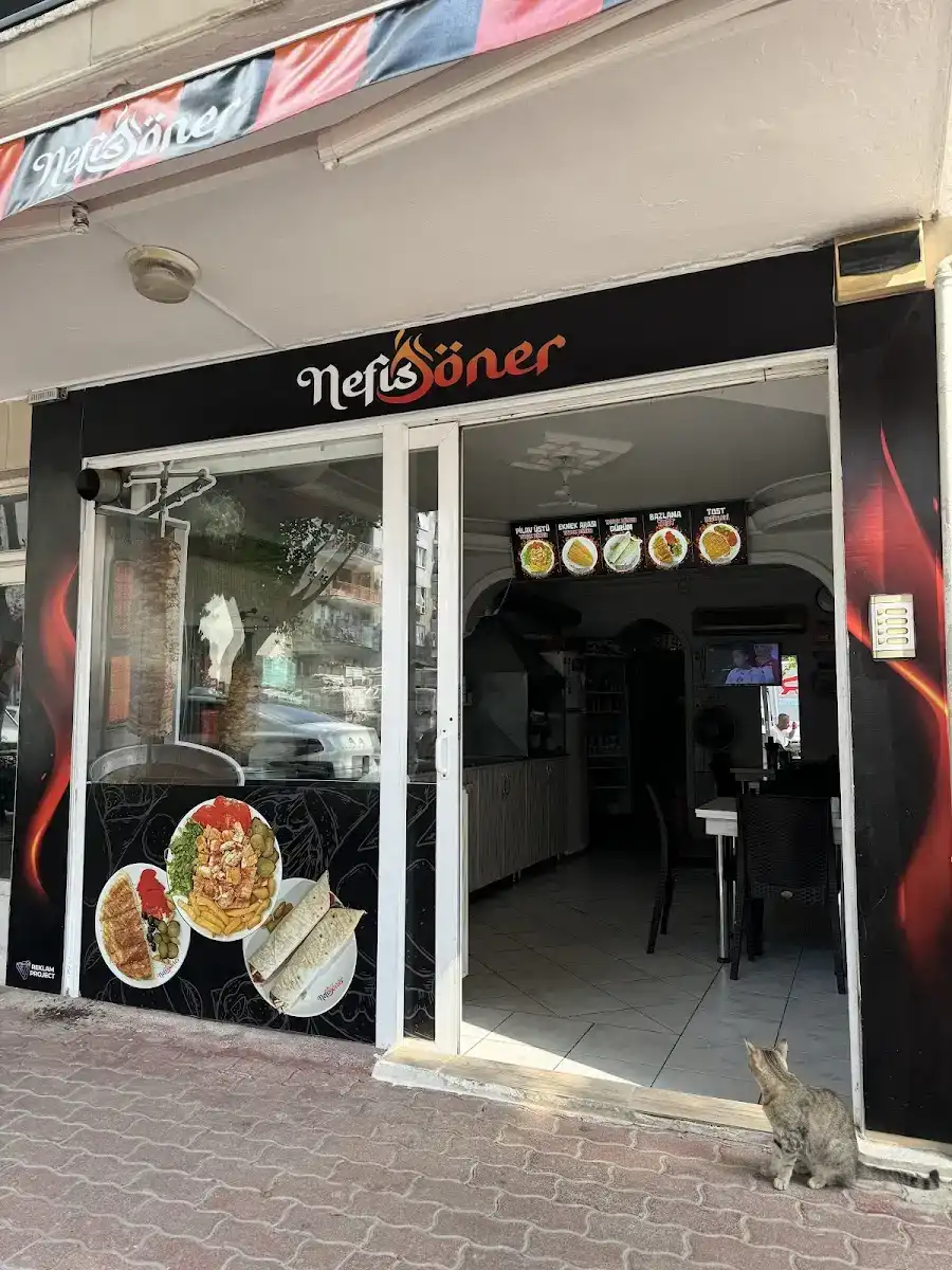 Nefis Doner fotoğraf 3