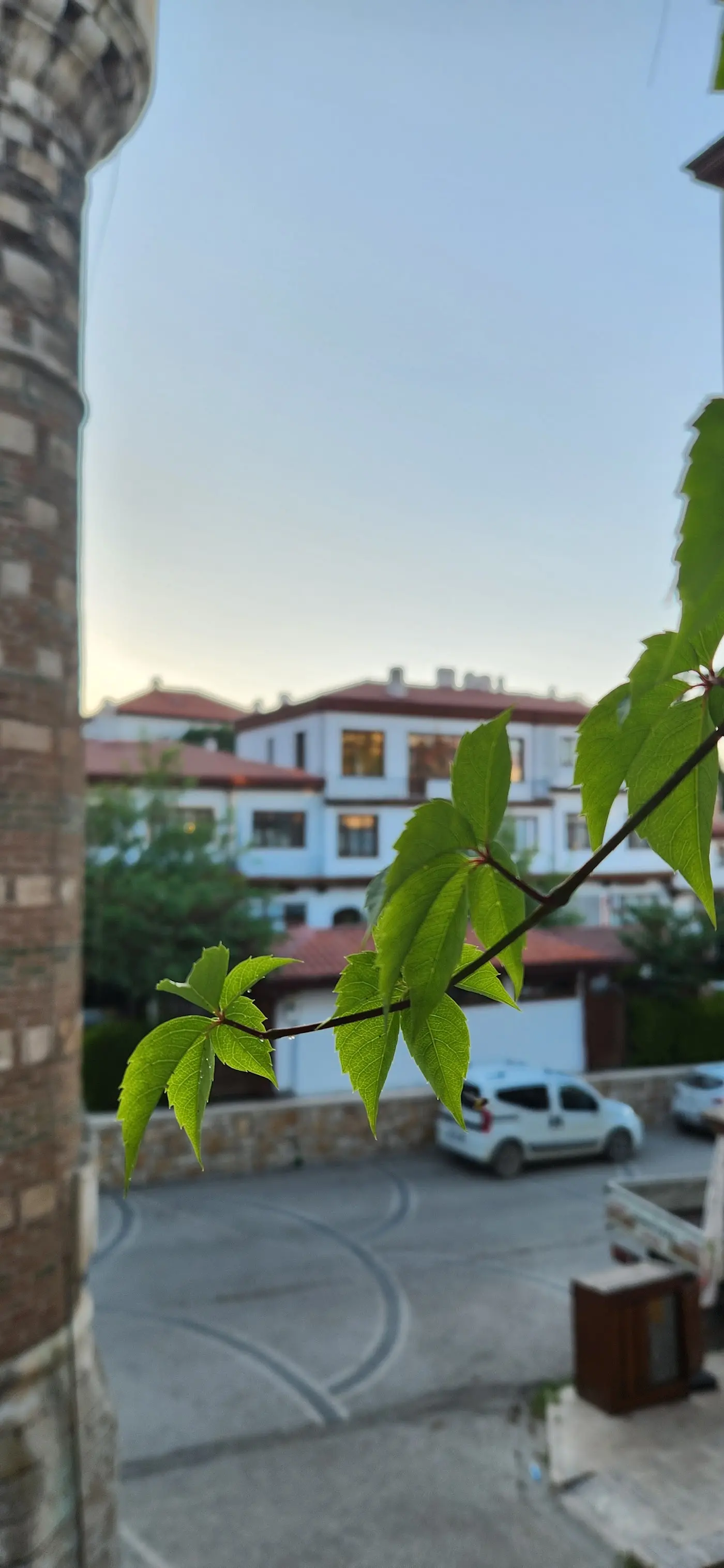 Otel Arzu fotoğraf 3
