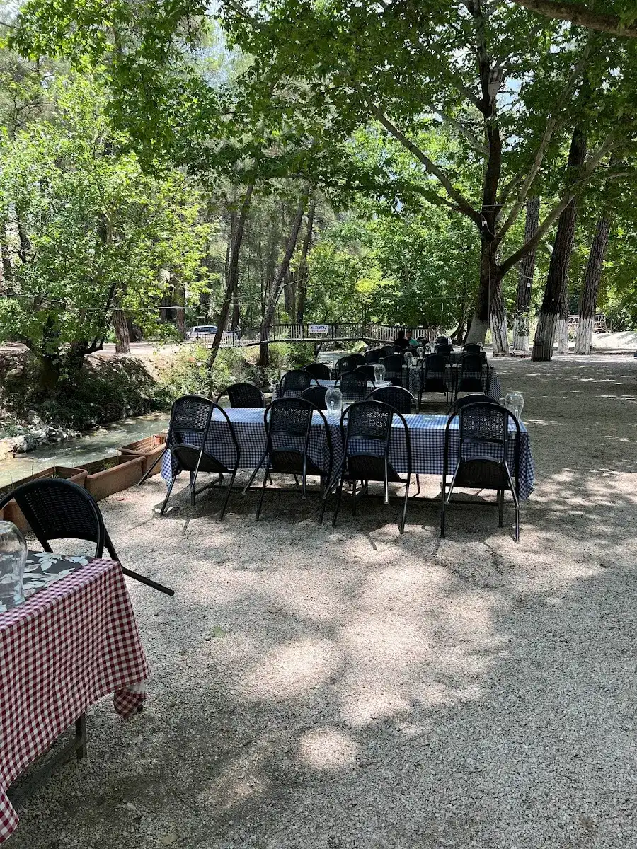 Altıntaş piknik restaurant