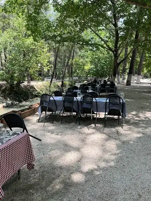 Altıntaş piknik restaurant