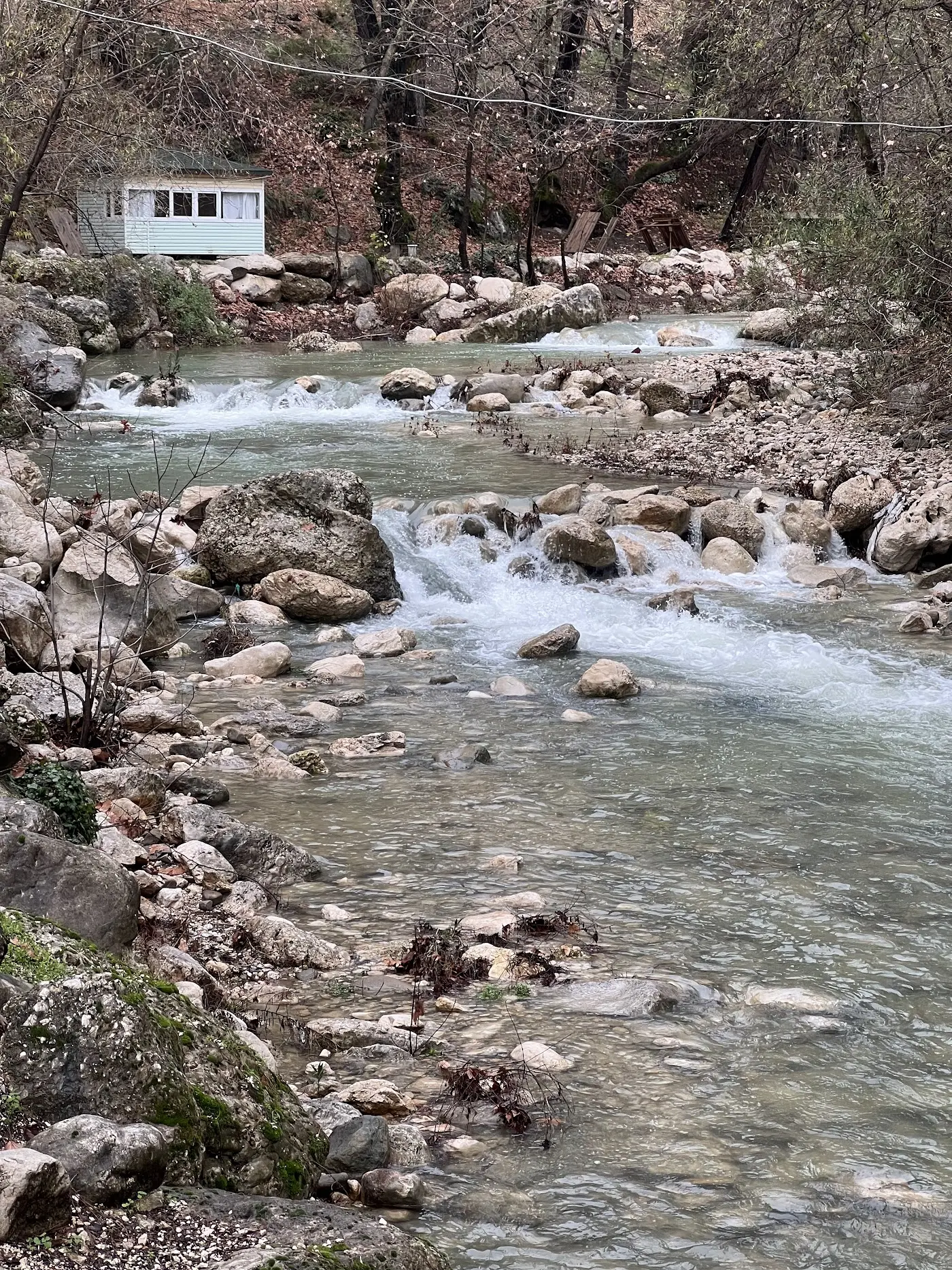 Altıntaş piknik restaurant fotoğraf 3
