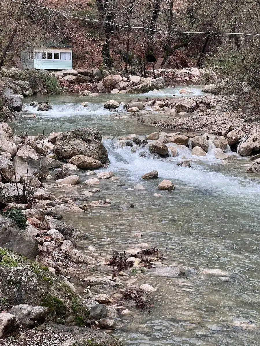 Altıntaş piknik restaurant fotoğraf 3