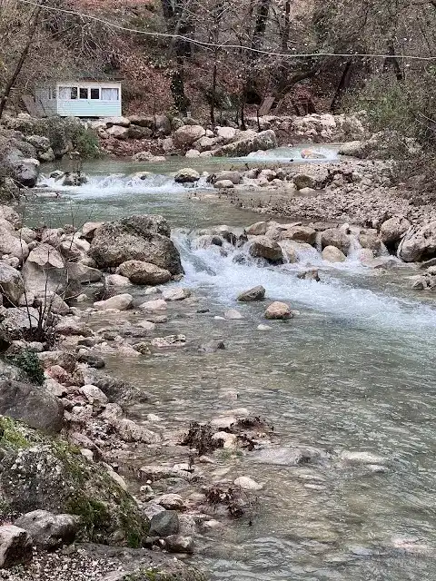 Altıntaş piknik restaurant fotoğraf 3