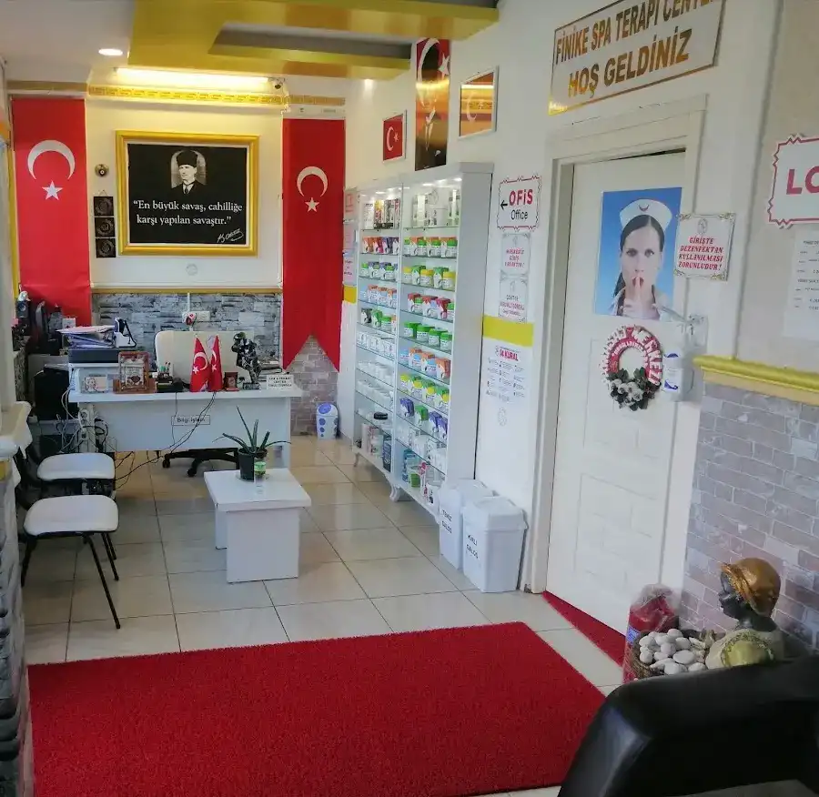 FİNİKE SPA MASAJ TERAPİ CENTER fotoğraf 2