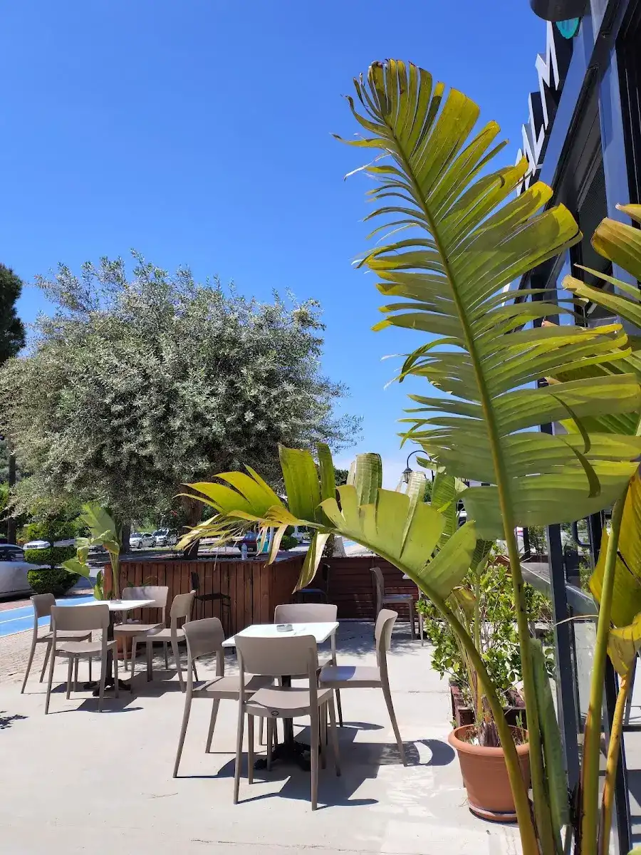 Palm Coffee Gazipaşa