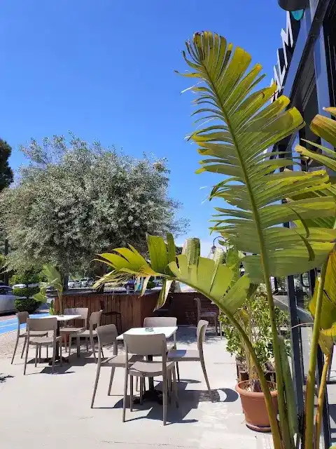 Palm Coffee Gazipaşa