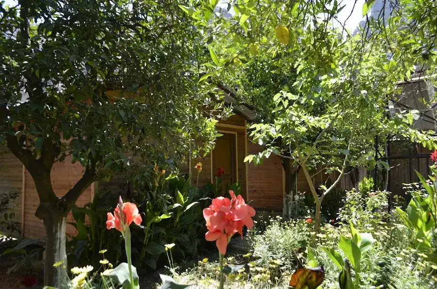 Olympos Mercan Bungalow Pansiyon fotoğraf 3