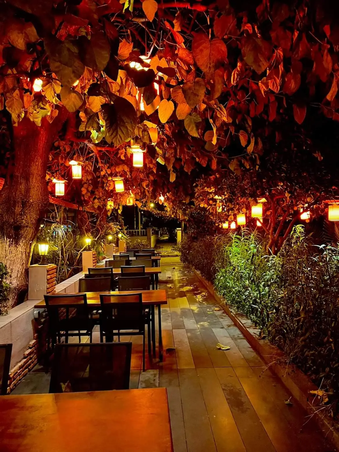 Kitchen KEMER Restaurant