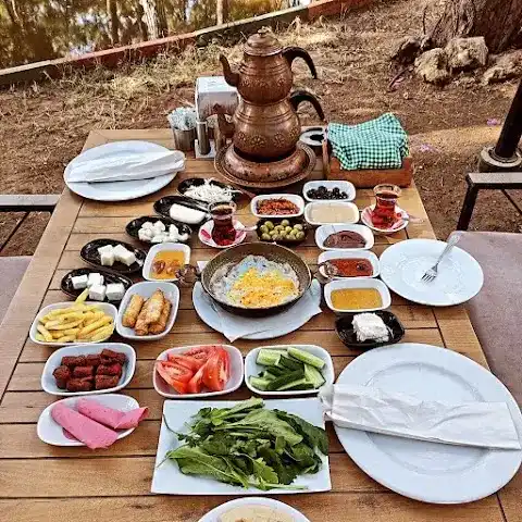 Orman Restoran Kahvaltı Et Mangal fotoğraf 2