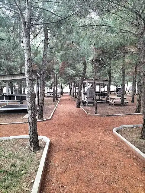 Esentepe Piknik Alanı