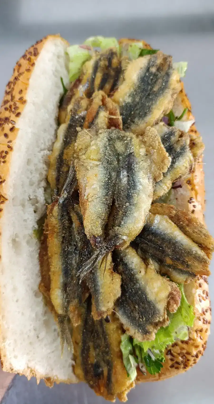 Kumluca Balıkçılık