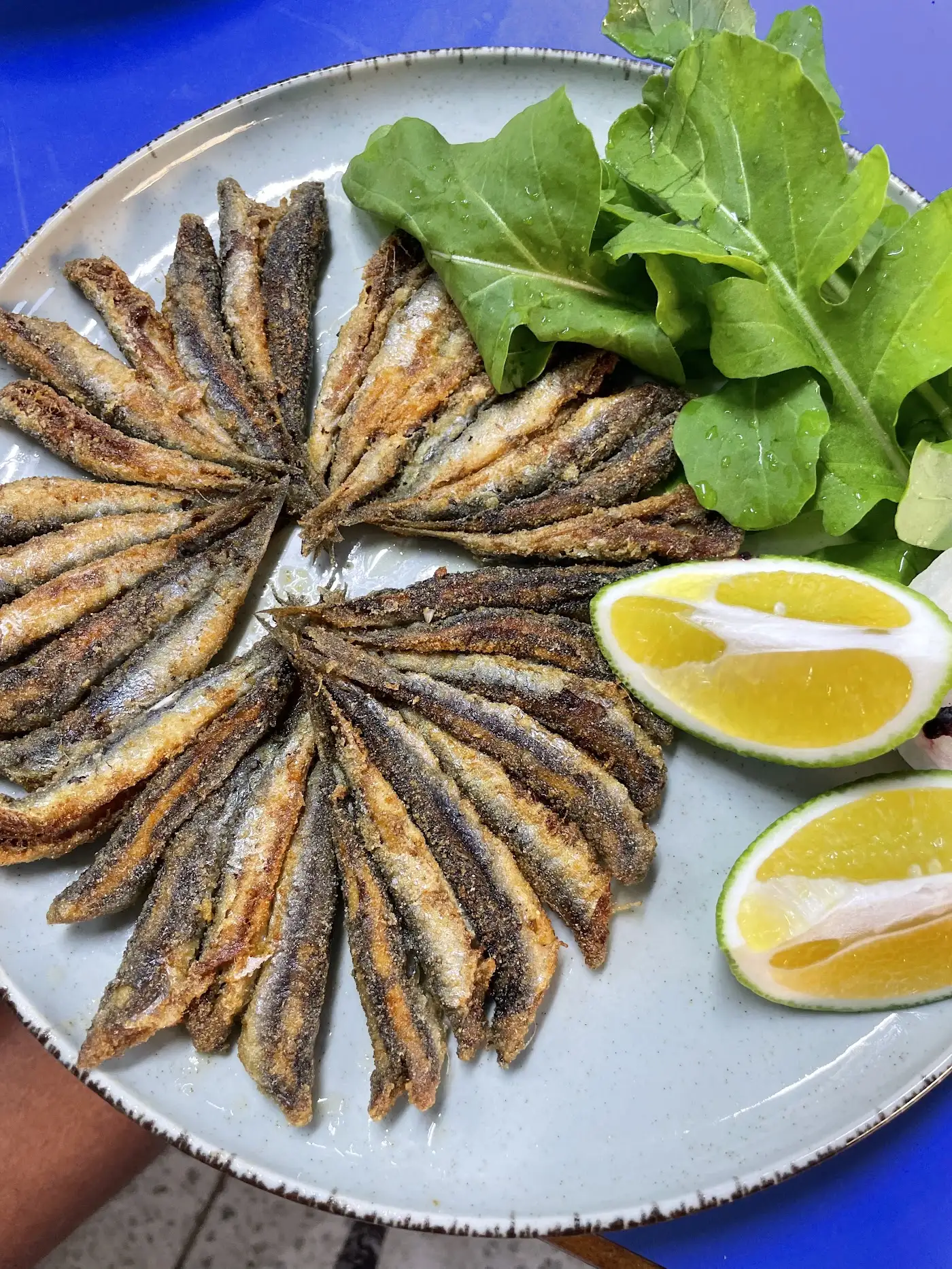 Kumluca Balıkçılık fotoğraf 2