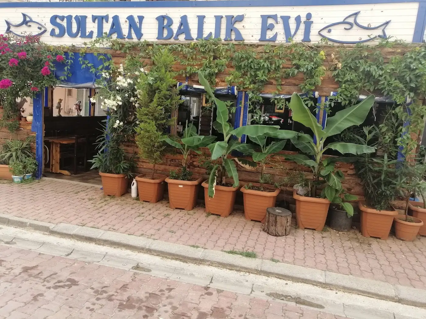 Sultan Balık Evi fotoğraf 3