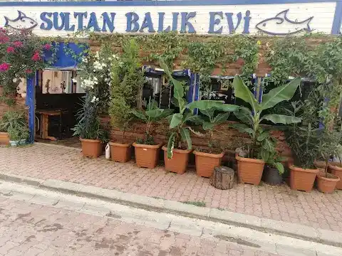 Sultan Balık Evi fotoğraf 3
