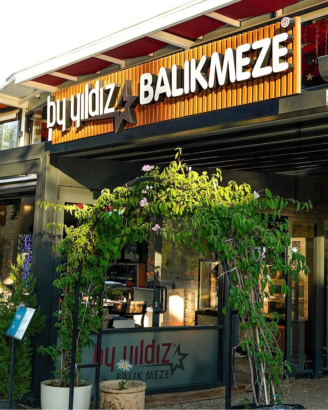 By yıldız balık meze Manavgat