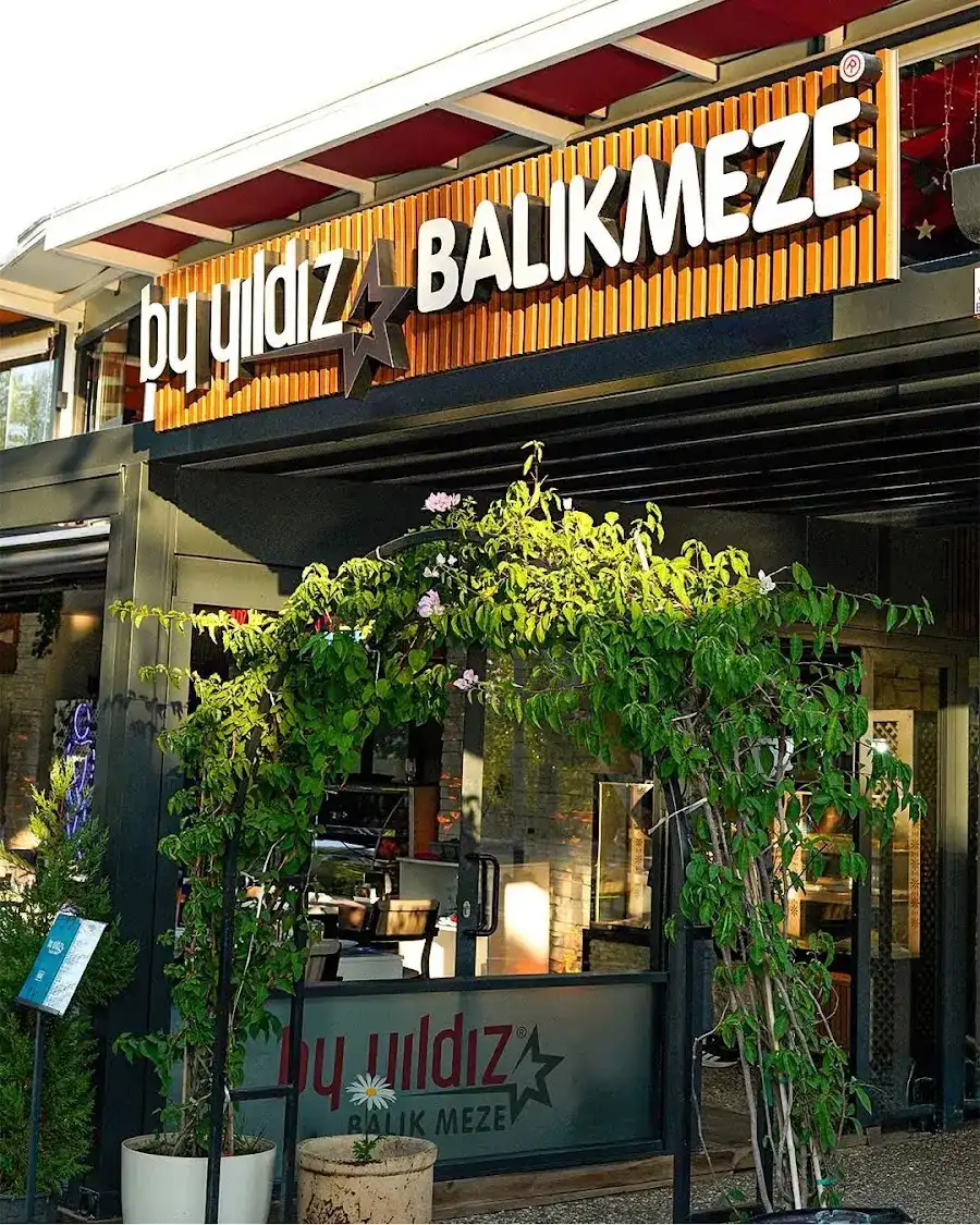 By yıldız balık meze Manavgat