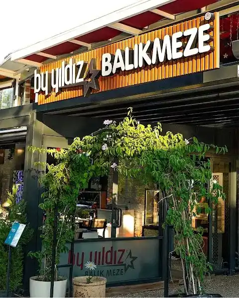 By yıldız balık meze Manavgat