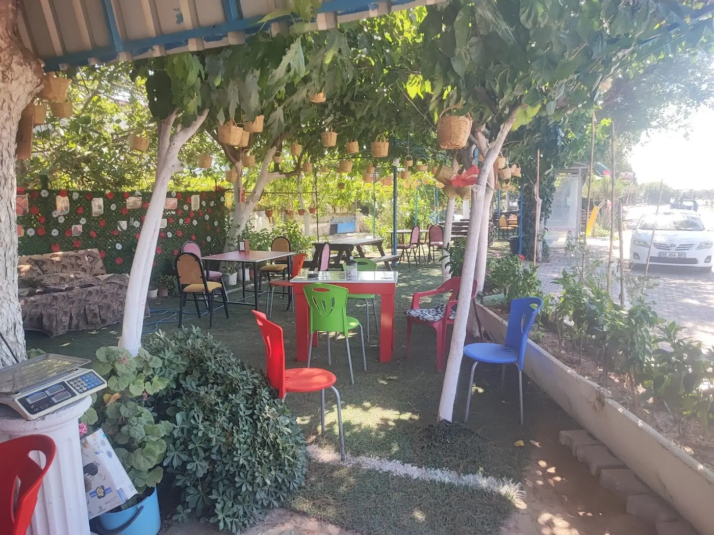 Elfida Aile Çay Restorantı fotoğraf 3