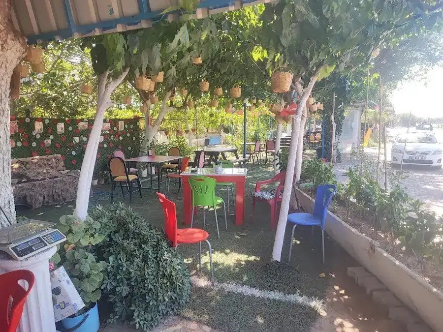 Elfida Aile Çay Restorantı fotoğraf 3