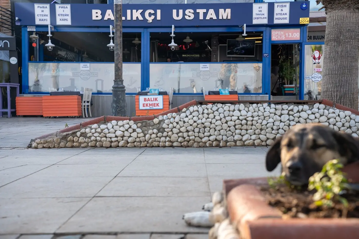 BALIKÇI USTAM (Balık, Meze)