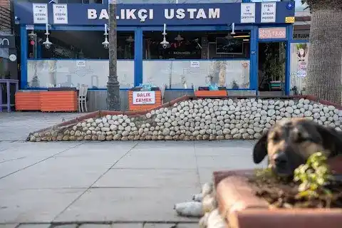 BALIKÇI USTAM (Balık, Meze)