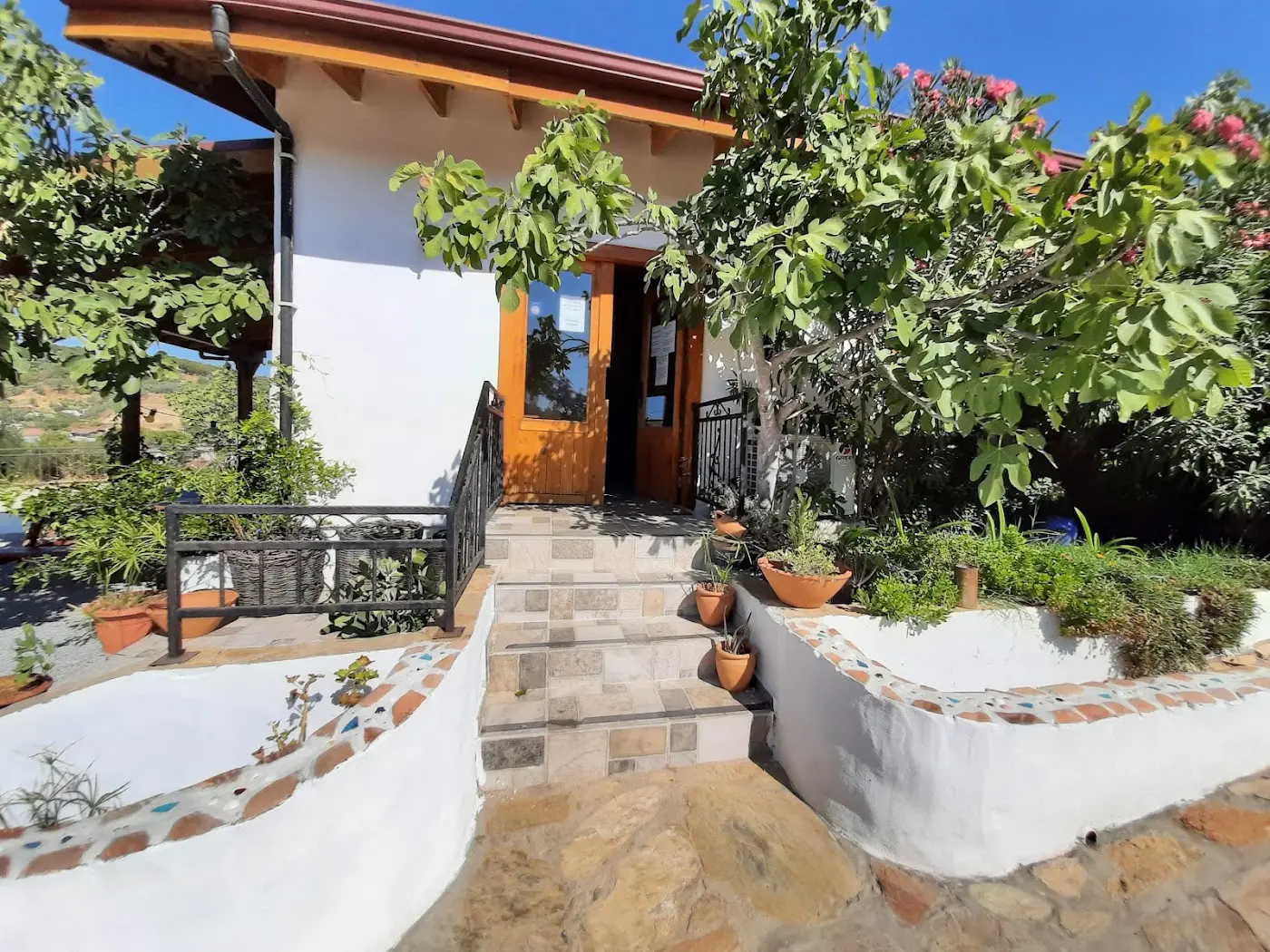Ionia Guest House / İonia Konuk Evi ( Saman Ev / Saman Otel )