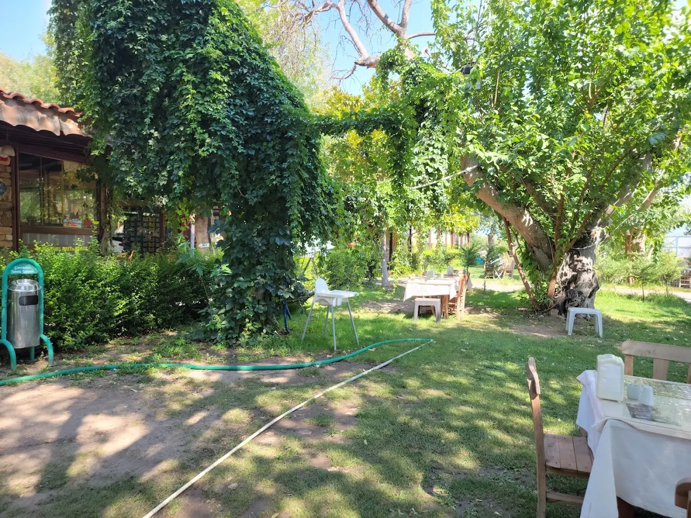 Afrodisias Restaurant fotoğraf 3