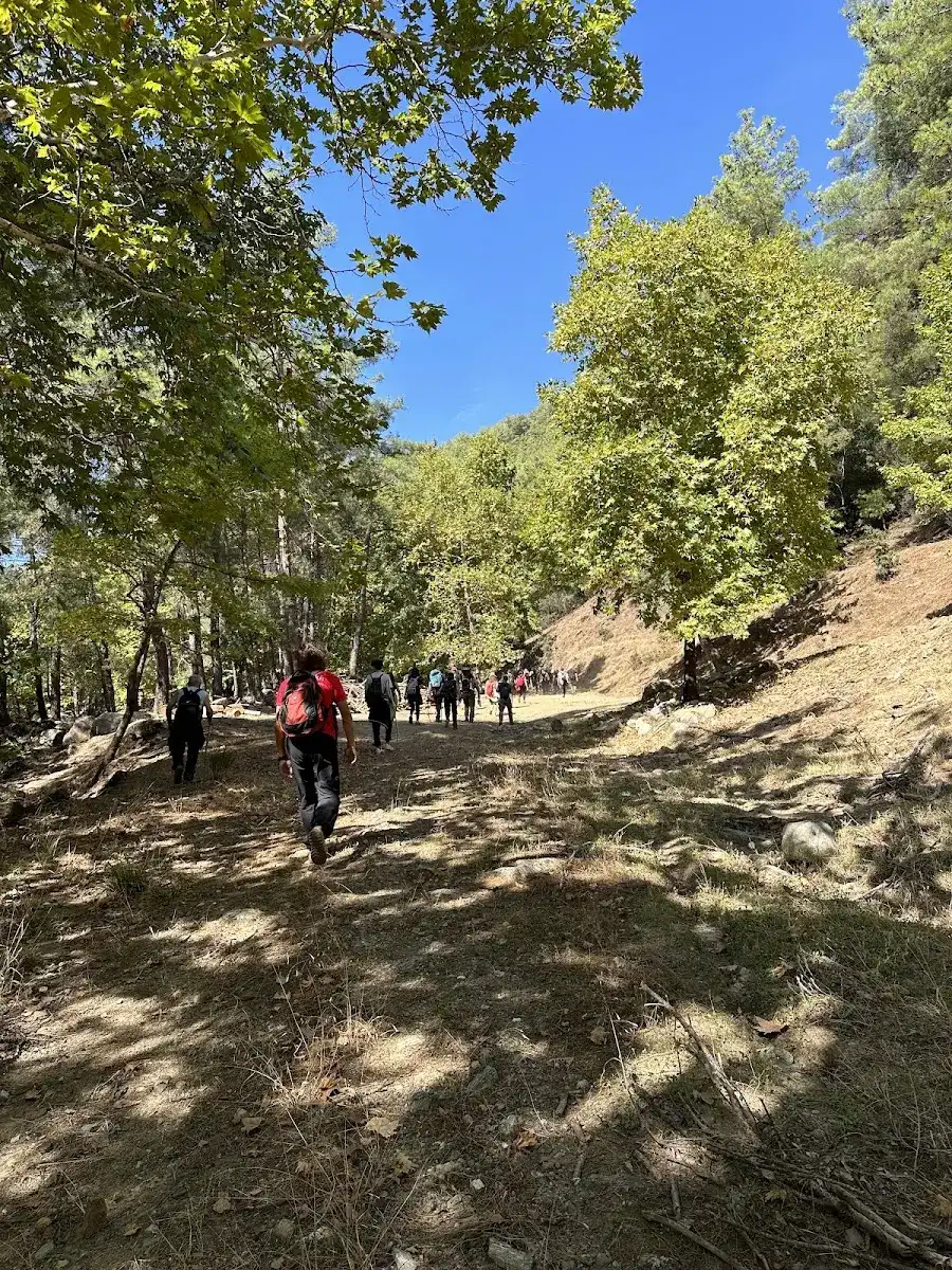 Karacasu Belediyesi fotoğraf 2
