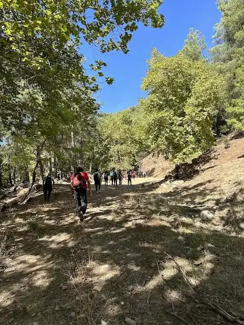 Karacasu Belediyesi fotoğraf 2