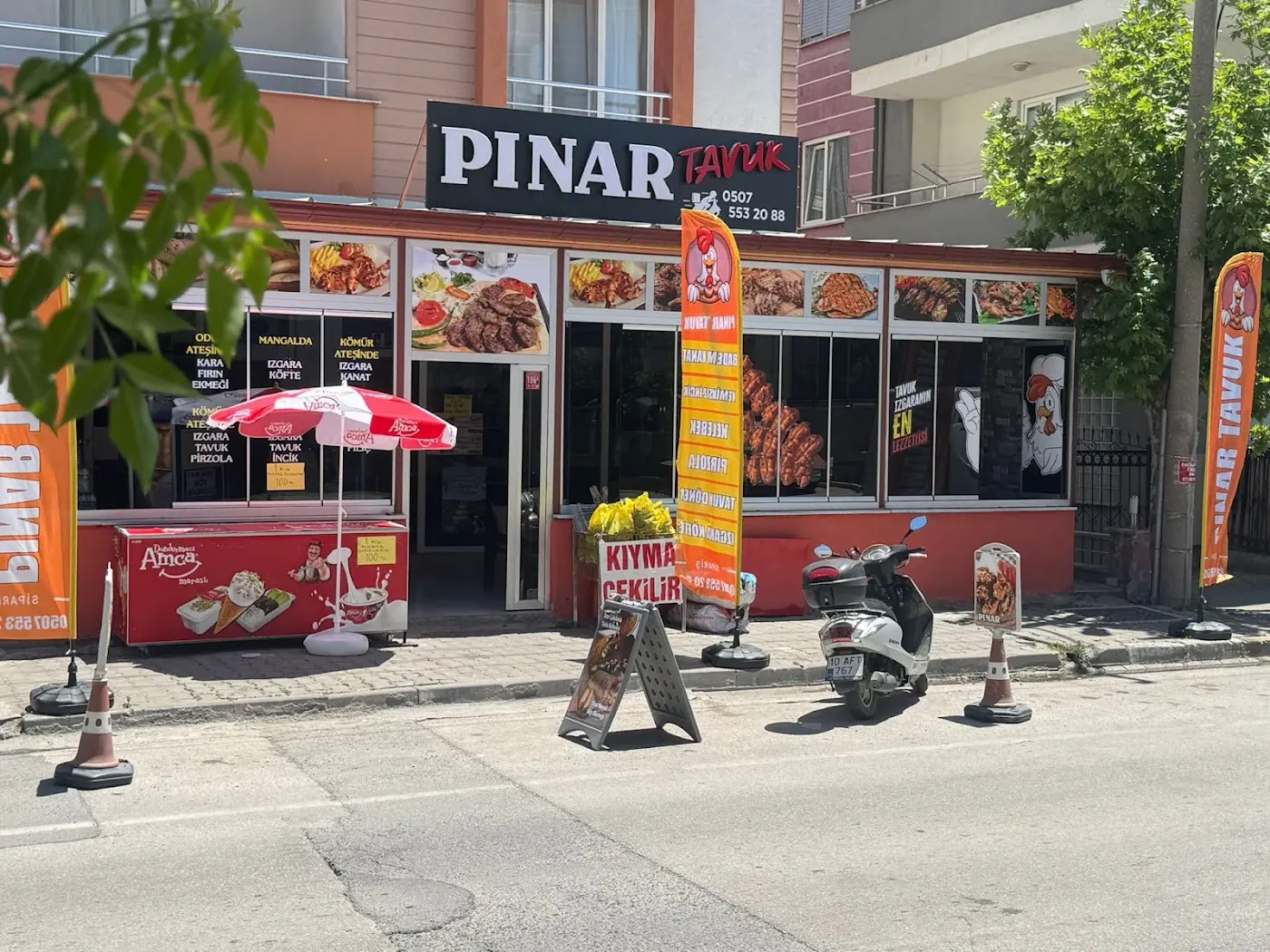 PINAR TAVUK