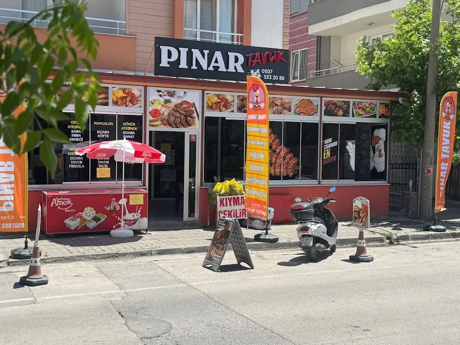 PINAR TAVUK