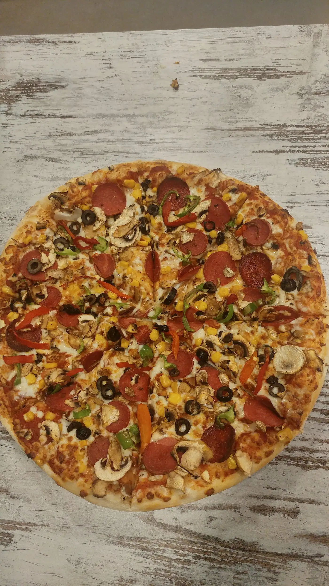 Terra Pizza - Altıeylül Bahçelievler fotoğraf 2