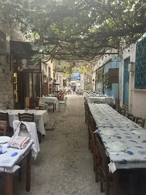 Ayvalık Meyhanesi