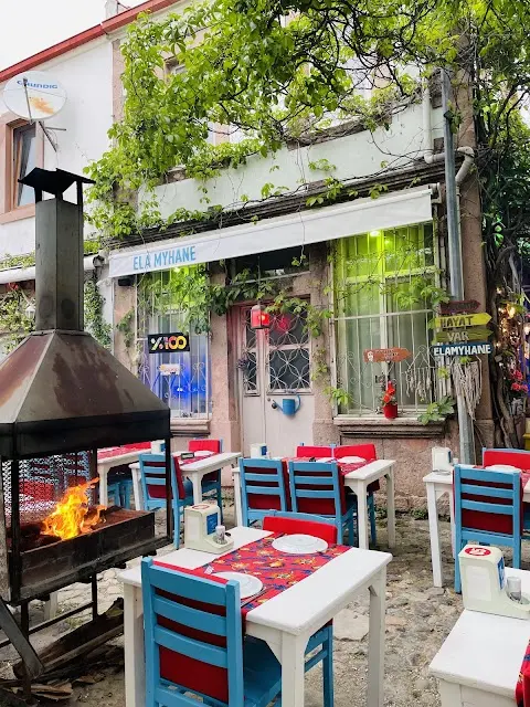 Ela Meyhane çözüm talepleri