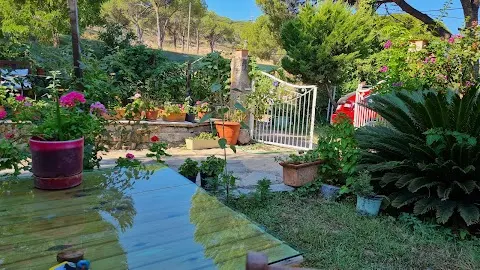 Günebakan Taliani Hotel şikayeti var mı?